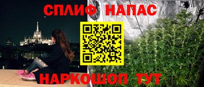 прущие грибы Кинель