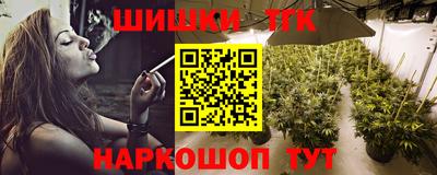 скорость Кингисепп