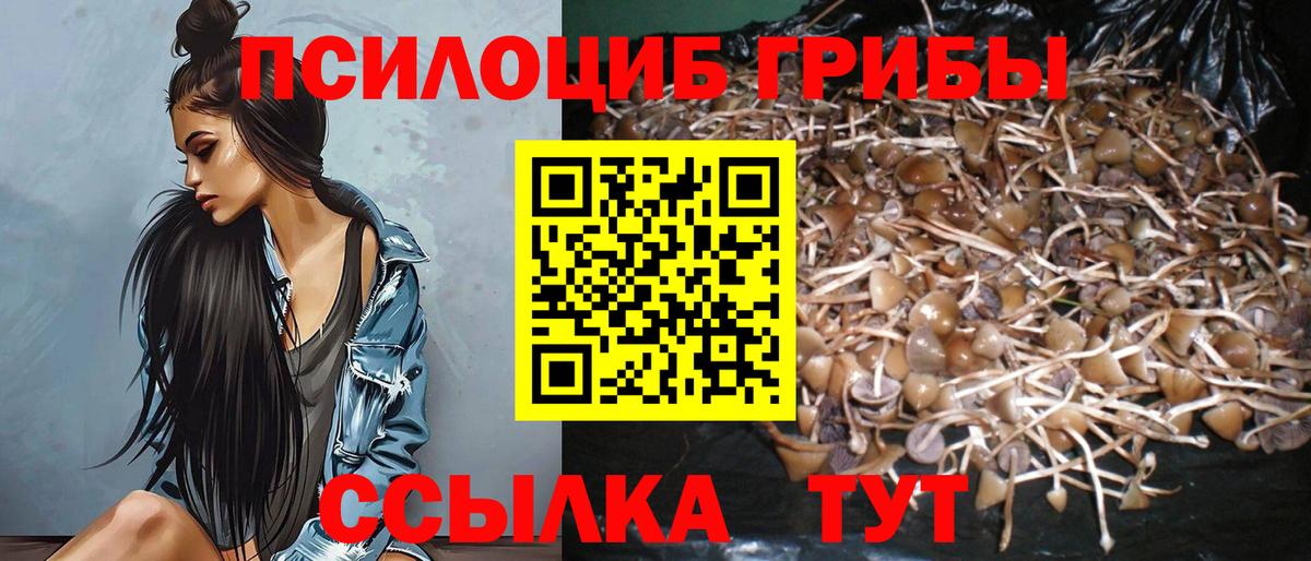 Галлюциногенные грибы GOLDEN TEACHER Краснознаменск