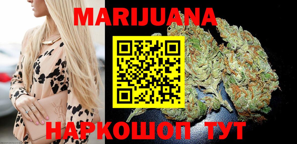 Каннабис план Краснознаменск